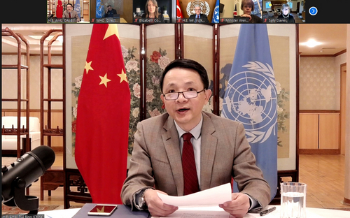 Remarks by Ambassador Dai Bing at Security Council Briefing on Tigray