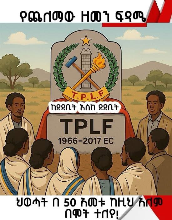 NEBE Revokes TPLF’s Political Party Status After Months-Long Dispute